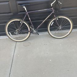 Men’s 21 Speed Mtn Bike 