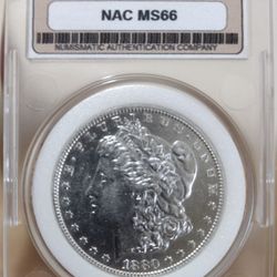 1880o  Morgan Silver Dollar Ms66