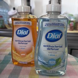 Dial Antibacterial Hand Soap with Aloe - Gold & Spring Water (4$$$)