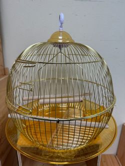Bird Cages