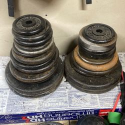 Weights And Bar