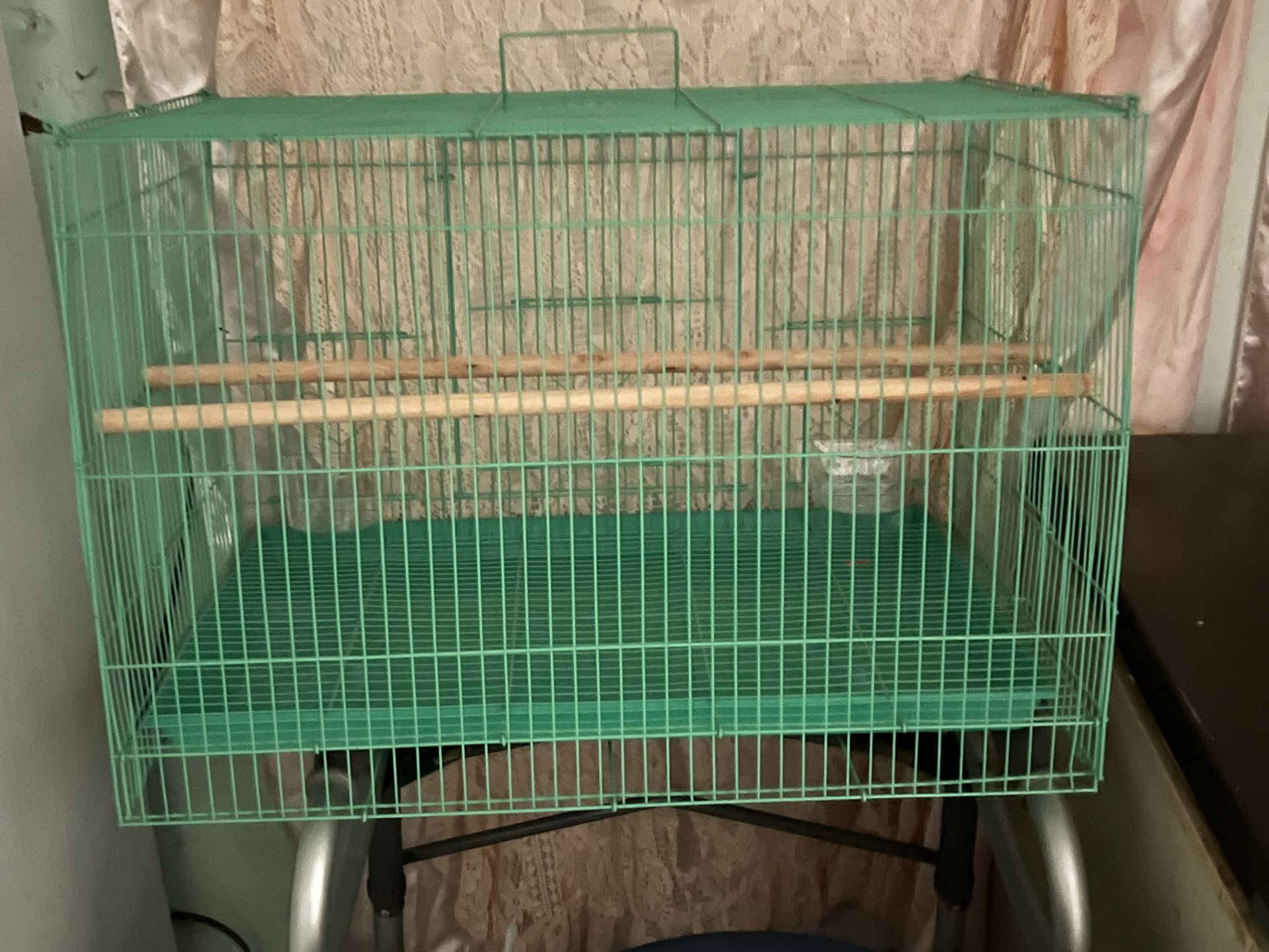 Cage Very tame Message Me For More Information