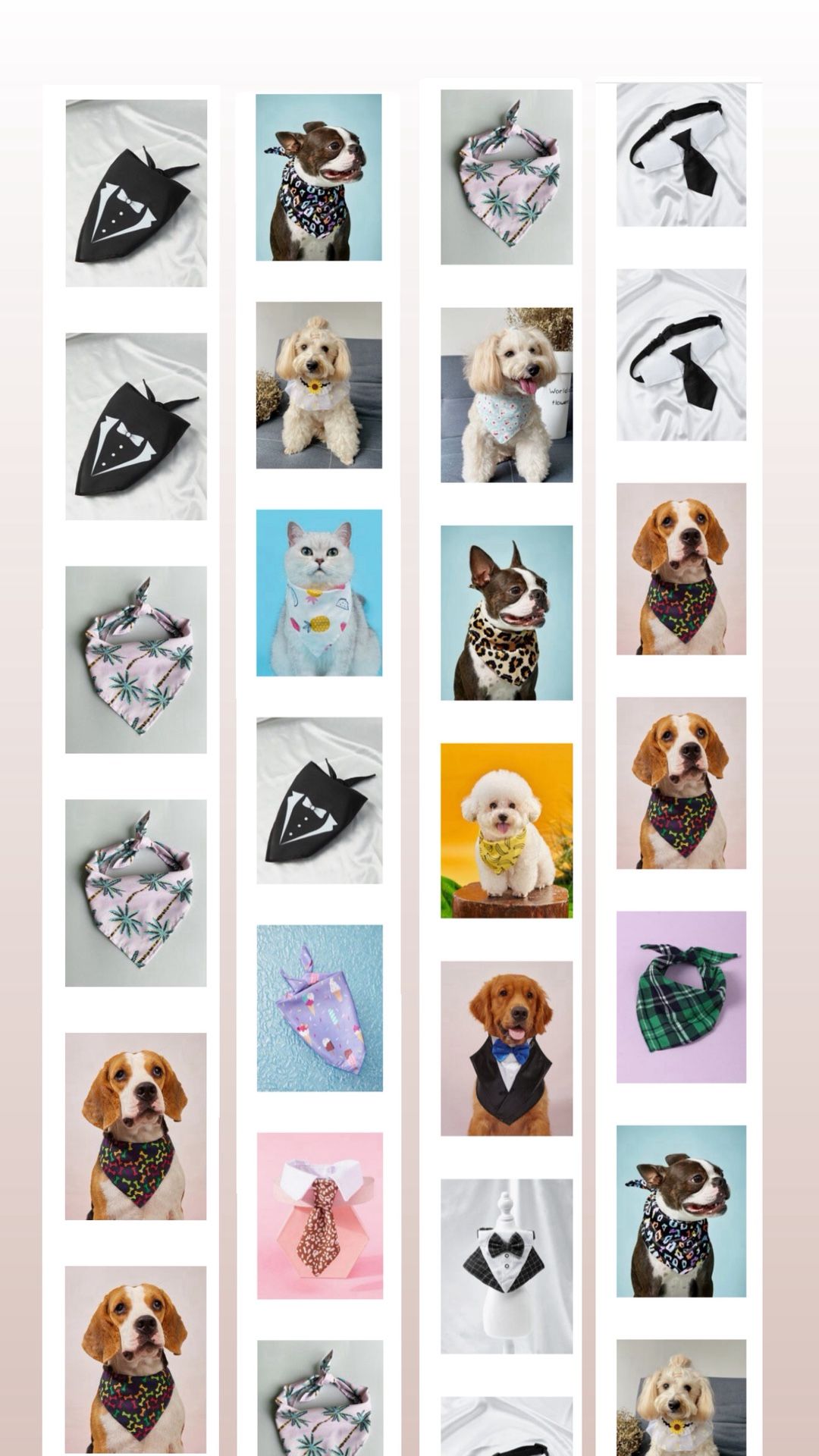 πΎβ¨ Pet Business Starter Pack β BRAND NEW Inventory! β¨πΎ