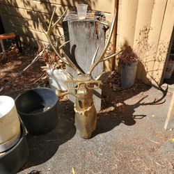 Brass Deer Head 