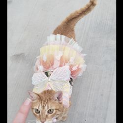 Halloween Dog Costume New Size Small Lights Up Has 3 Modes