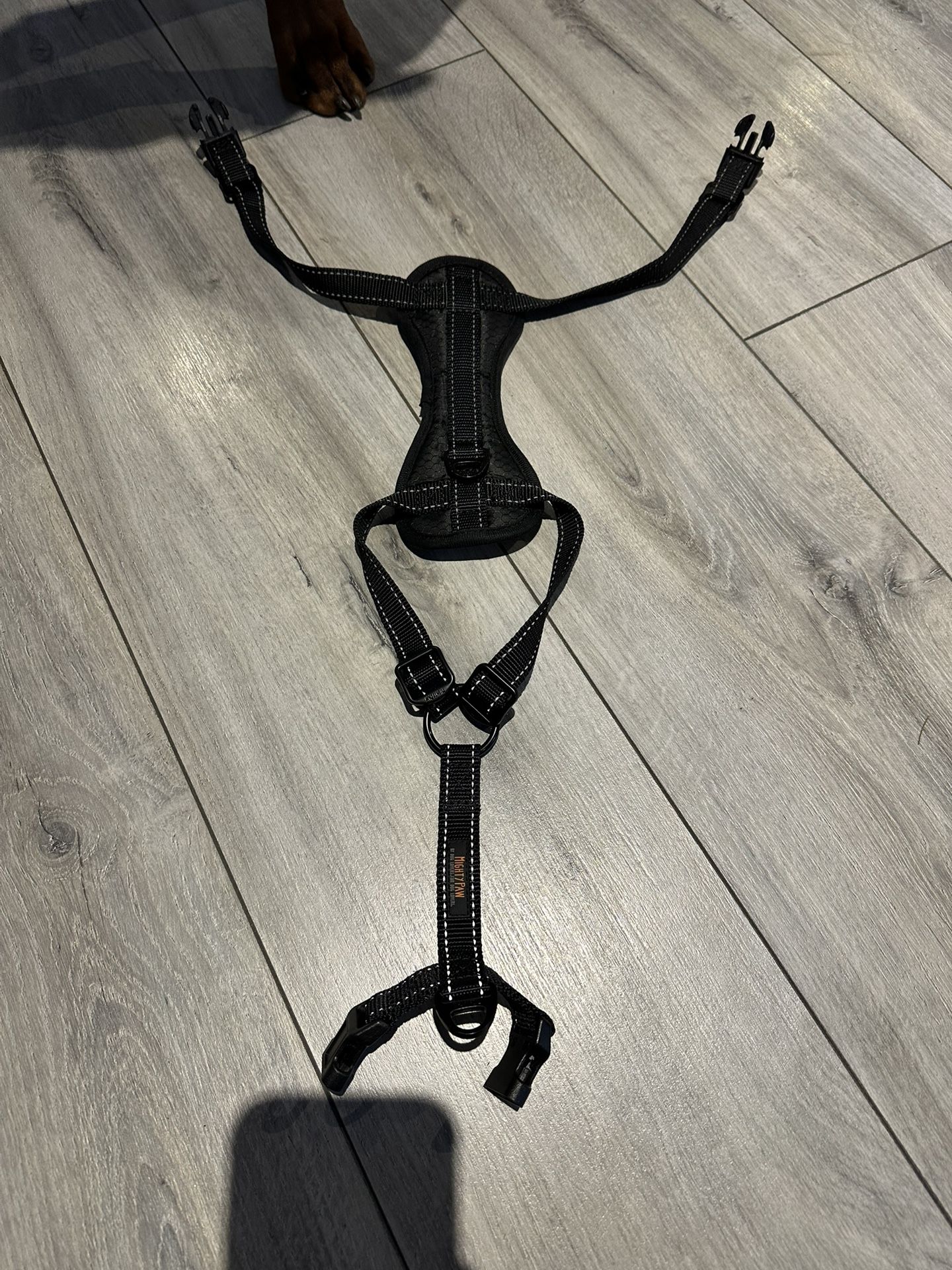 Puppy Small Dog Collar Harness