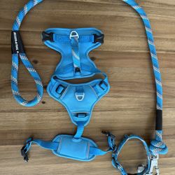 Dog Leash, Collar & Harness