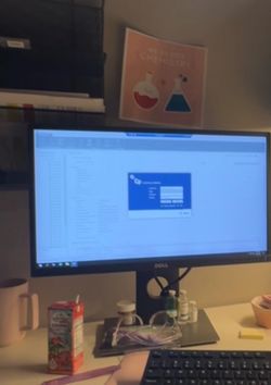 Dell Monitor (Just Monitor not computer)