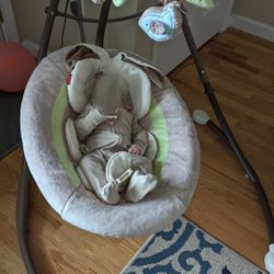 Baby Swing