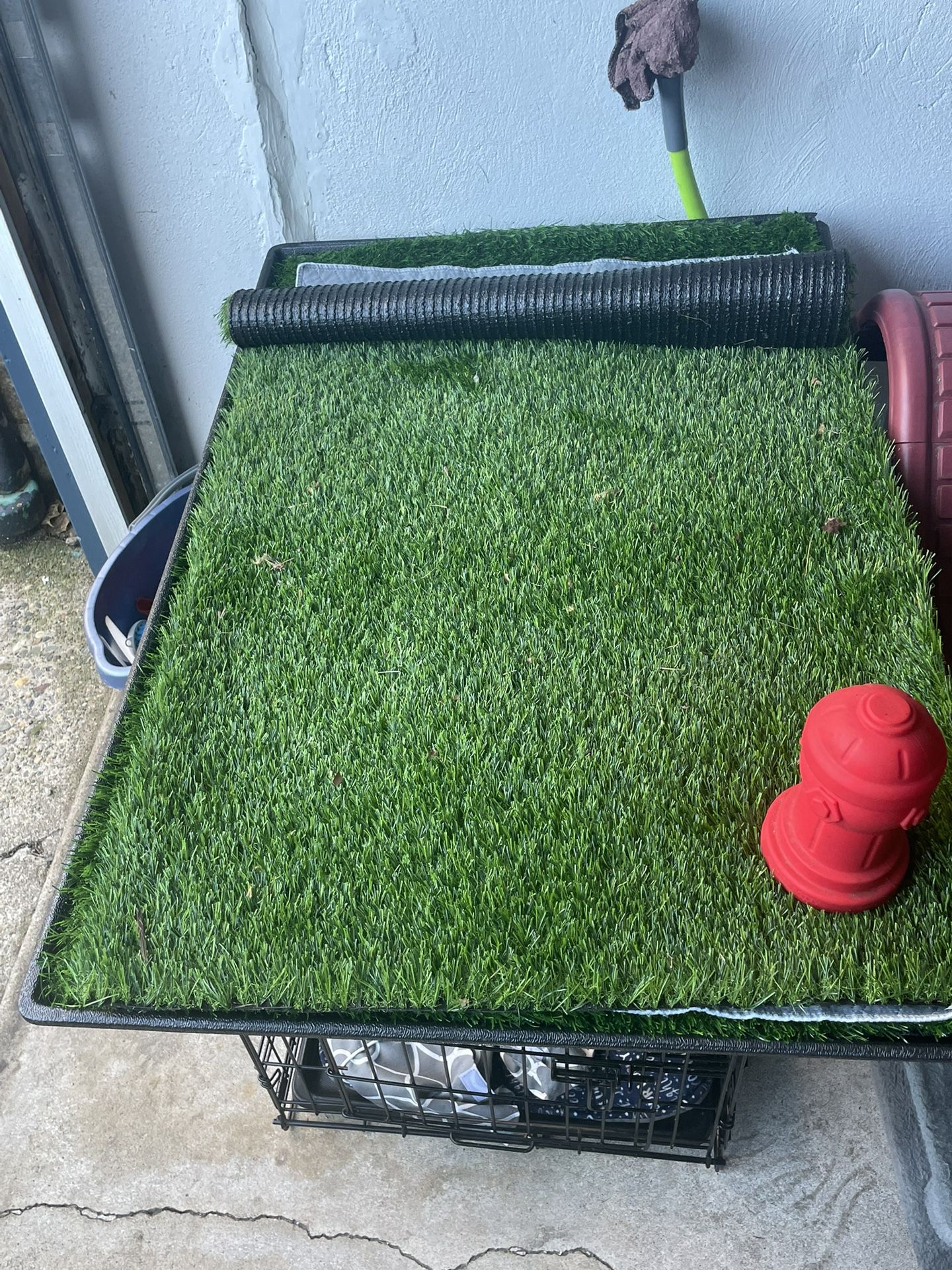 Training Grass For dog 