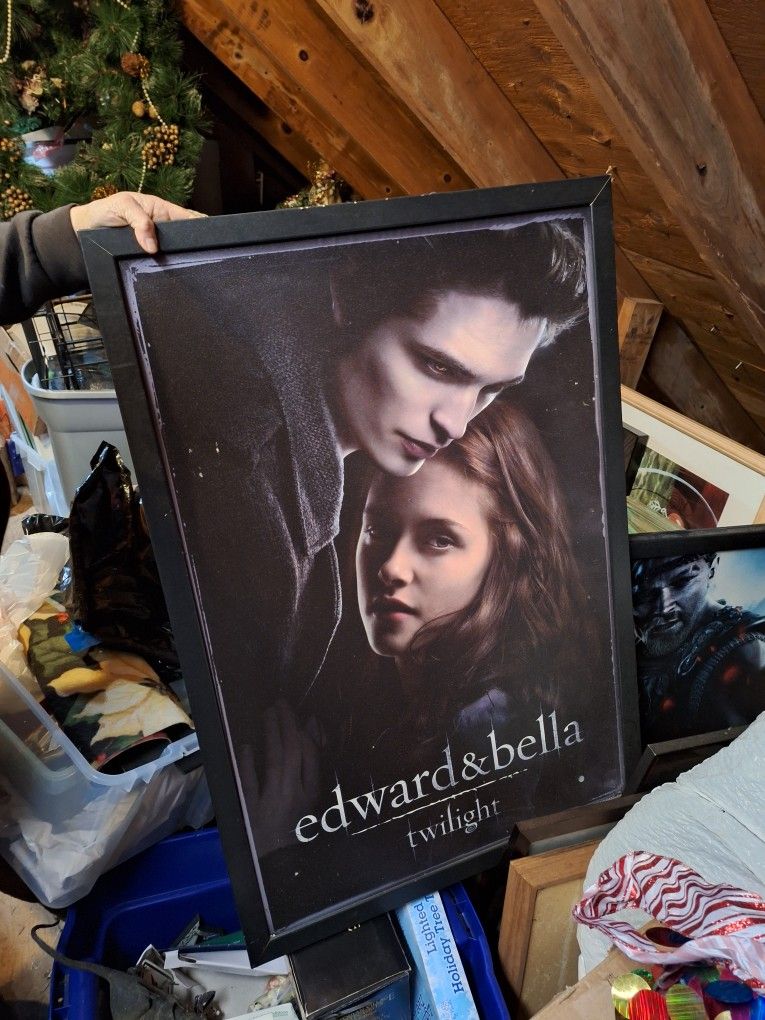 Twilight Movie Poster In Frame