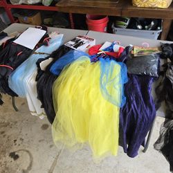 Assorted Girls Size 7/8 Halloween Costumes 