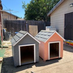 House for dogs 