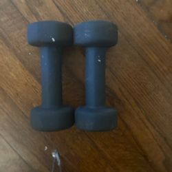 5 Lb Dumbbells