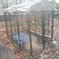 Dog Cage