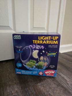 Light Up Terrarium