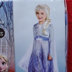 Frozen Elsa Dress Large 12 To 14 Halloween