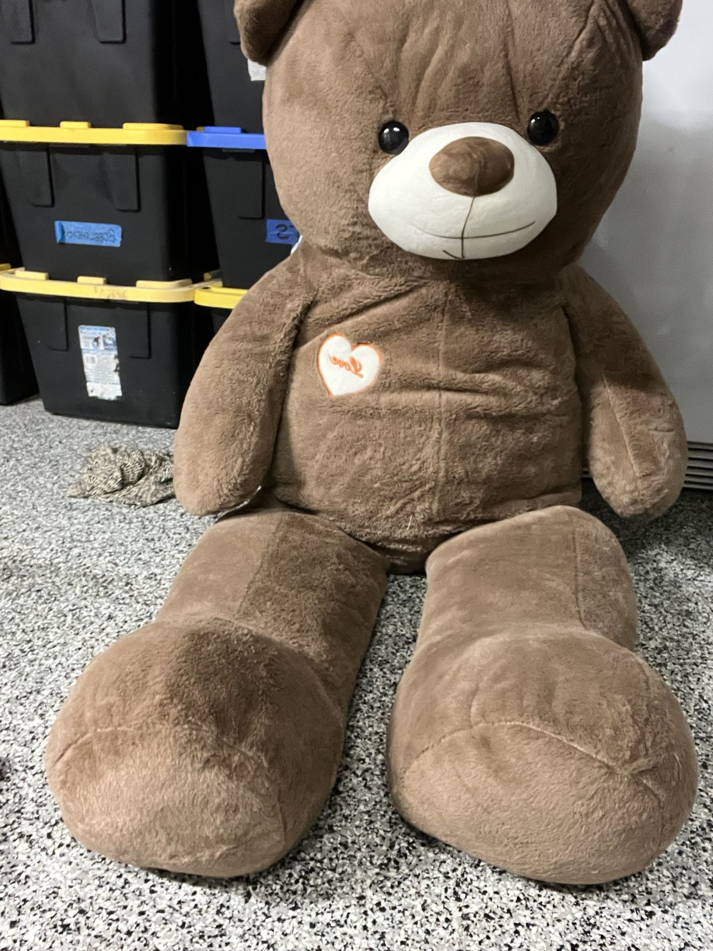 Free Huge Teddy Bear. 