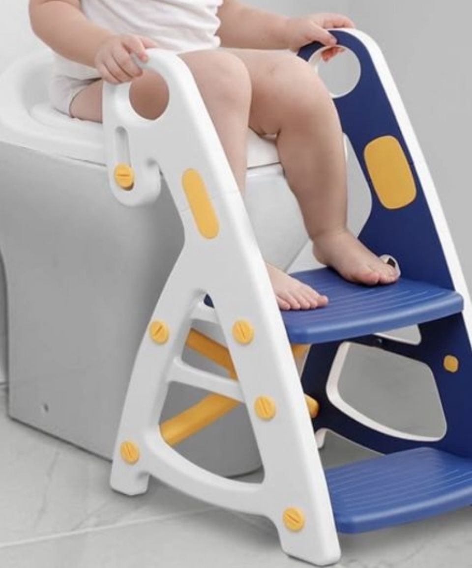 2 In 1 Potty Training Seat