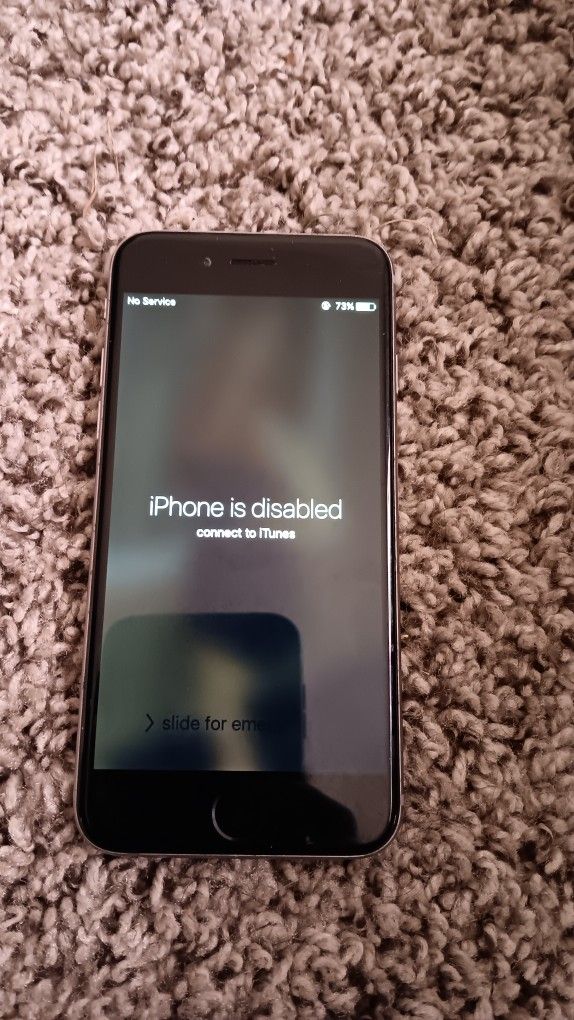 Iphone 6 Disabled (LOCKED)