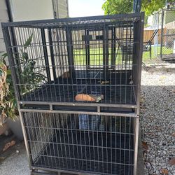 Dog Kennel 