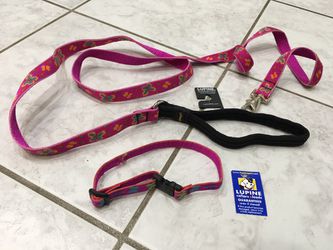 New Lupine dog leash and collar