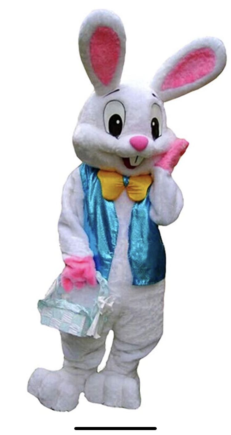 Easter bunny Costume 