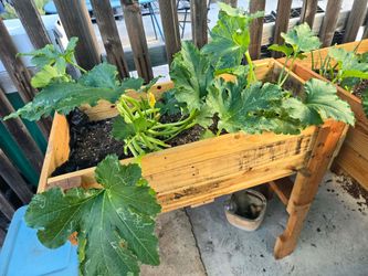 Raised Garden Bed Wood