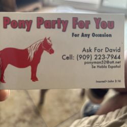Pony rides and petting tubes