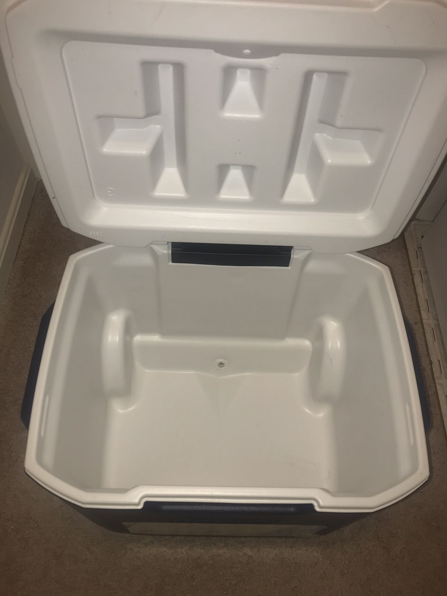 Coleman cooler