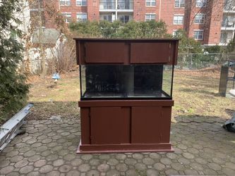 75gl Rimless Fish Tank with Stand, Hood, Sump