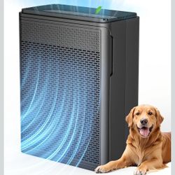 Air Purifiers for Home Pets