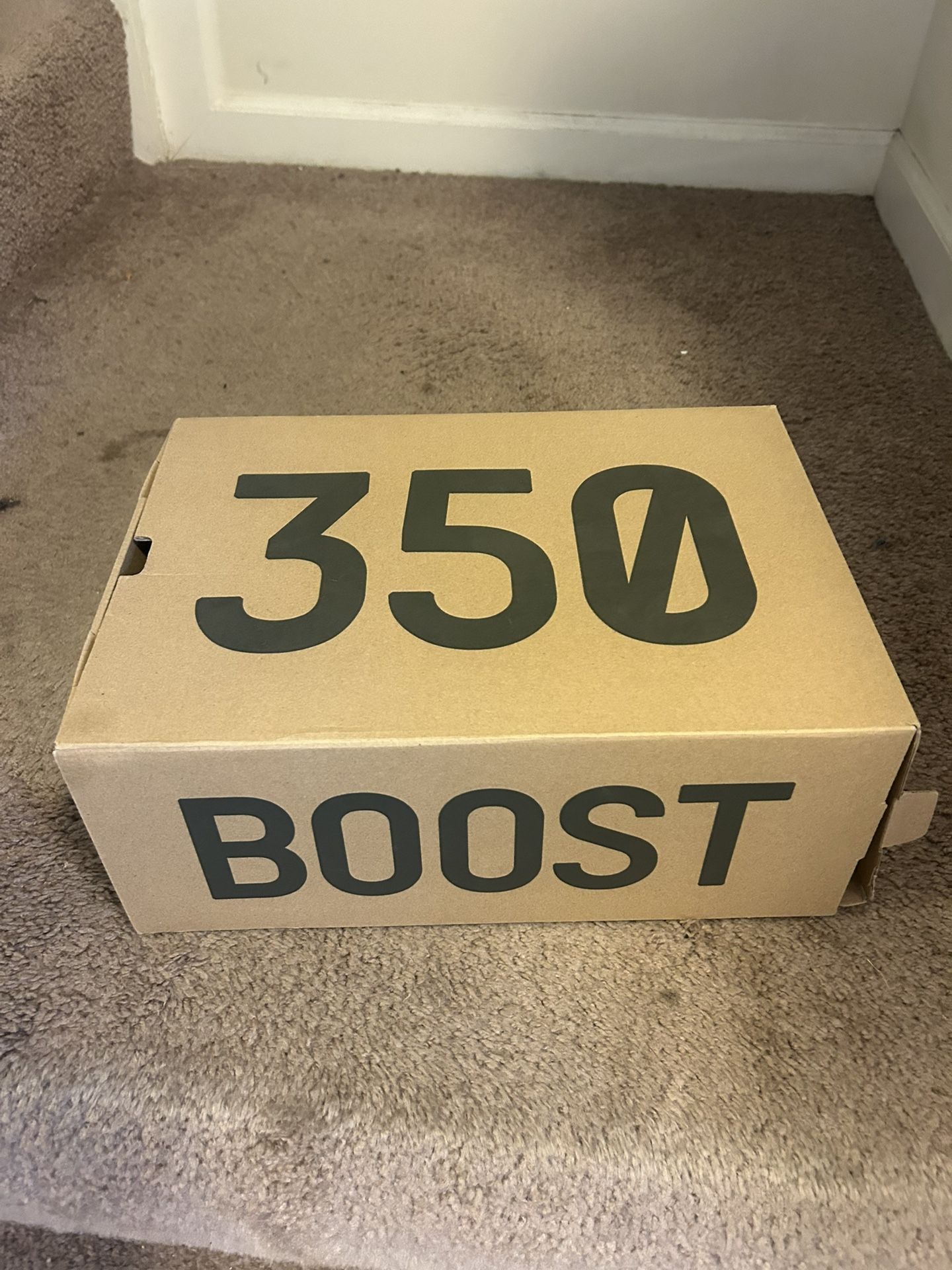 Yeezy 350