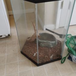 Reptile Tank