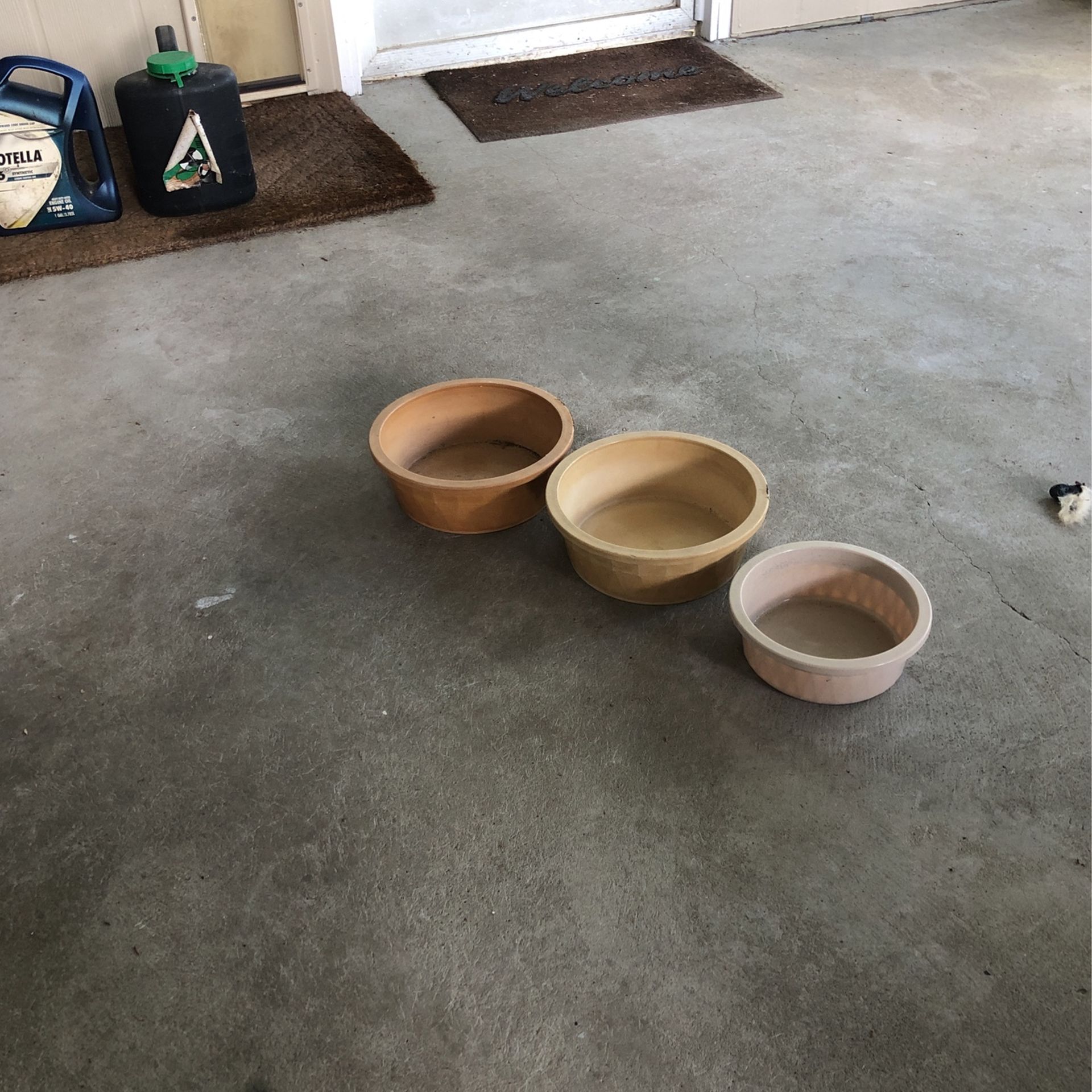 Dog Drinking Bowls