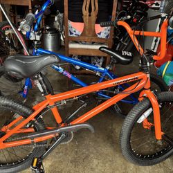 2 Mongoose Bikes 