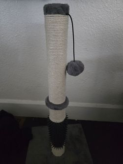 Cat stuff