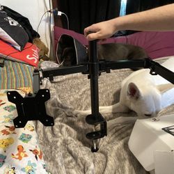 Dual  Monitor  Wall Mount