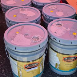 Paint 5 Gallon Buckets