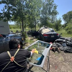 BR AUTO GLASS - WINDOWS - BACK GLASS