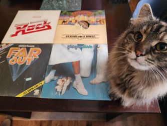 4 Vintage Vinyl LP Records – Rock, Disco & Pop Compilations (70s/80s)