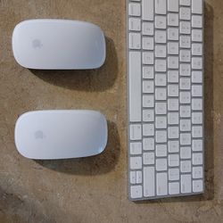 Apple Mouse + Apple Keyboard