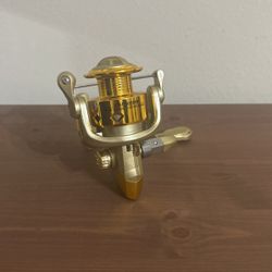 Size 5000 Spinning Reel