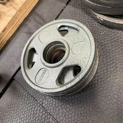 4 Weider 2.5 lb. Plates