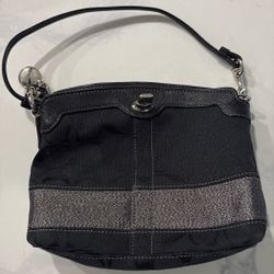 Mini Coach Purse