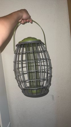 Bird Cage