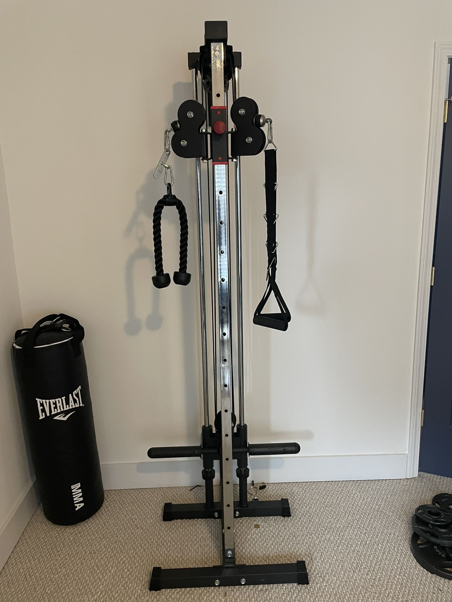Valor Fitness Wall Mount Cable Machine - Functional Trainer