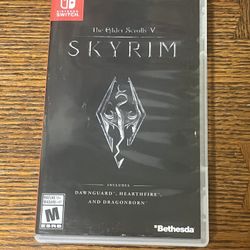 The Elder Scrolls V: Skyrim for Nintendo Switch