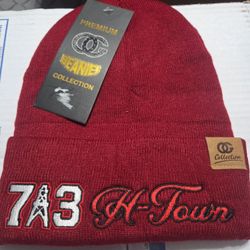 713 H-Town Beanie CC Collection 
