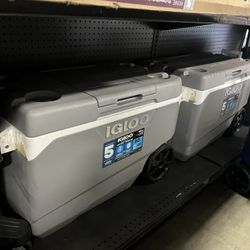 Igloo Cooler